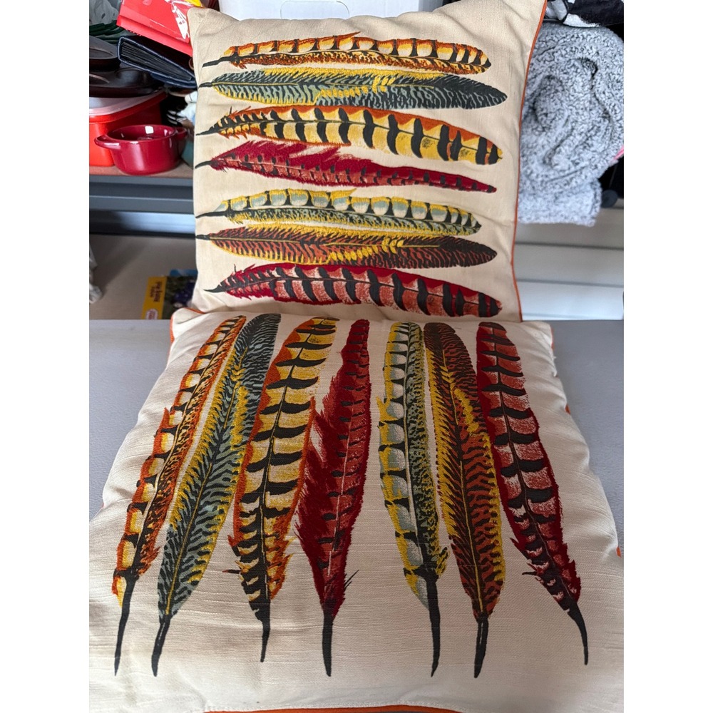Set of 2 Embroidered Feather Accent Pillows Cream Grey Orange Southwestern Boho